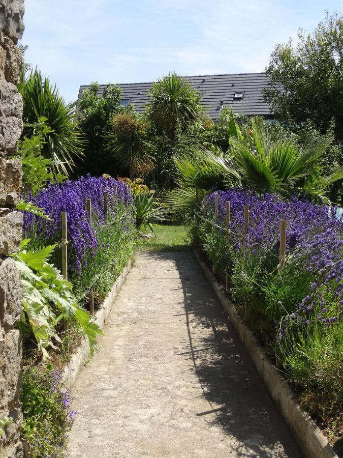 Gite "Rose Des Sables" - 800M De La Plage De Surtainville, Proche Commerces - Piscine En Juillet Et Aout 客房 照片