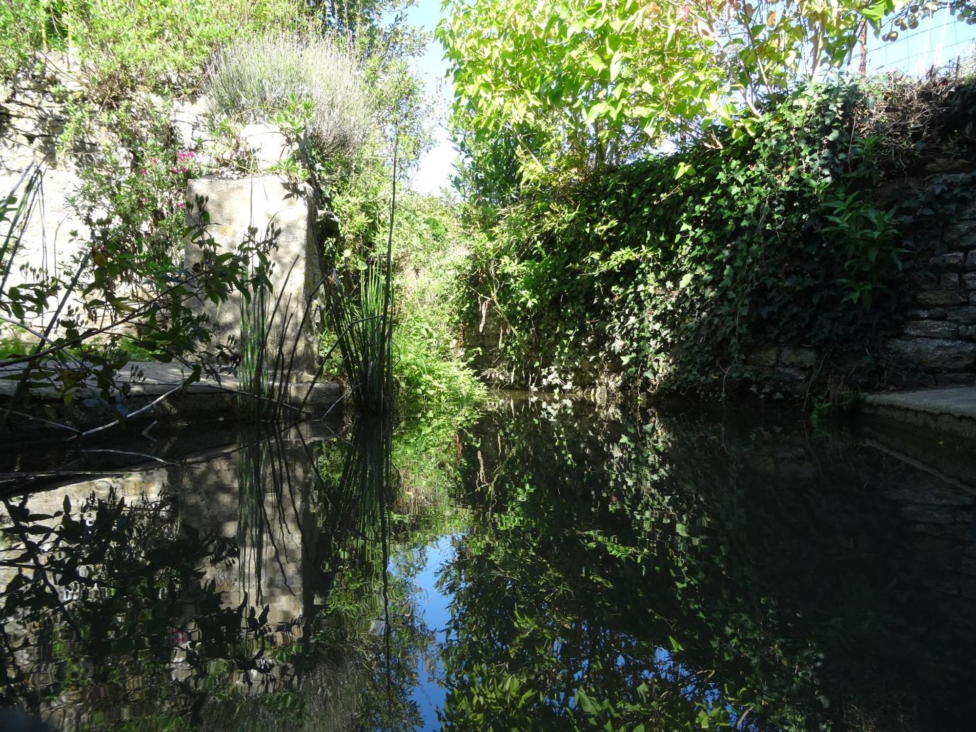 Gite "Rose Des Sables" - 800M De La Plage De Surtainville, Proche Commerces - Piscine En Juillet Et Aout 外观 照片