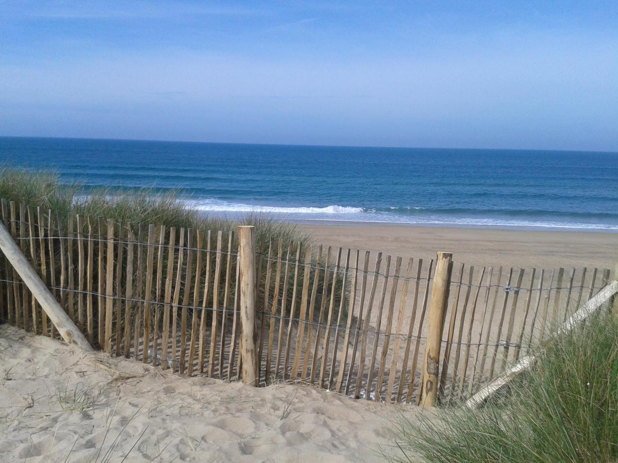 Gite "Rose Des Sables" - 800M De La Plage De Surtainville, Proche Commerces - Piscine En Juillet Et Aout 外观 照片